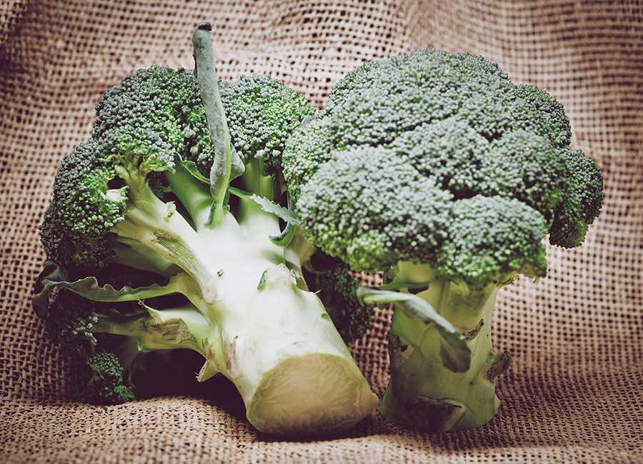 WikiBrandt: Cómo preparar el brócoli para que mantenga sus propiedades